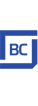 Blue Chip Logo