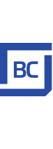 Blue Chip Logo